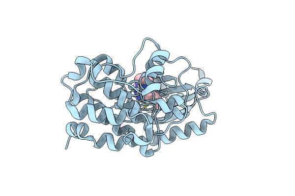 2WEI image