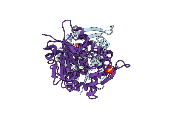 2WFL image