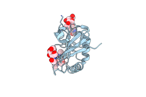 2WFO image