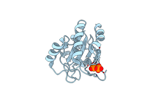 2WGR image