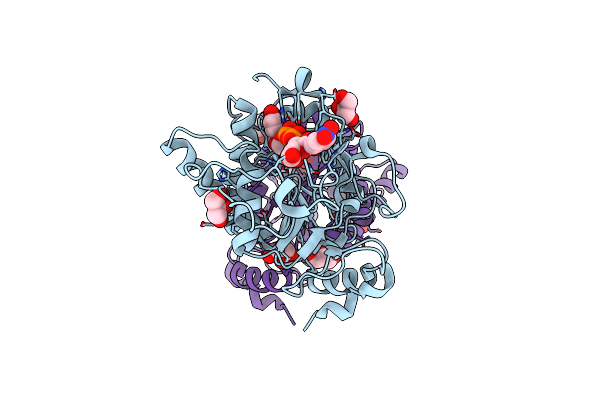2WGZ image