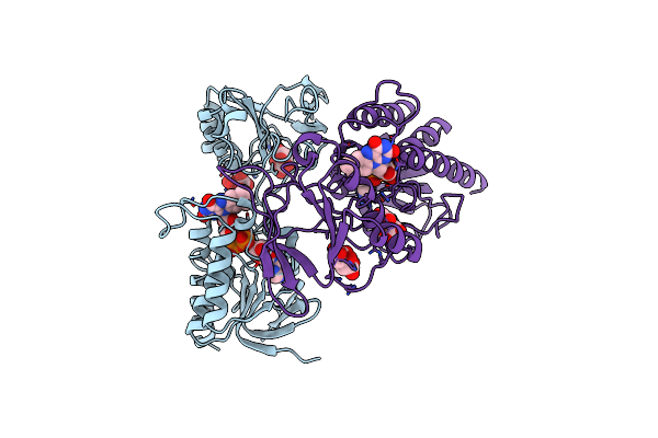 2WHD image