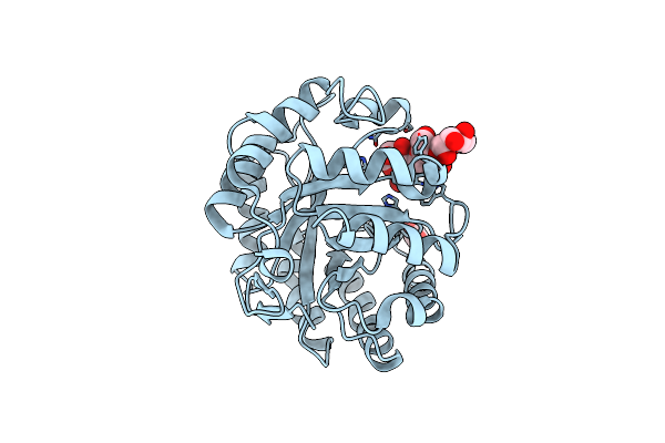 2WHL image