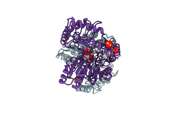 2WK9 image