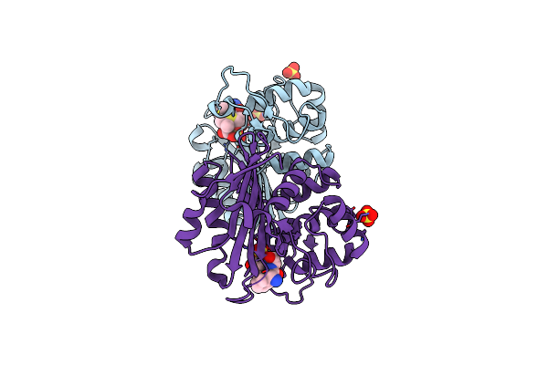 2WKH image