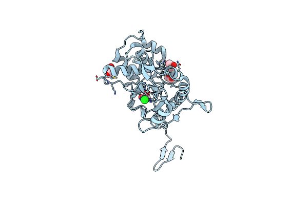 2WKX image