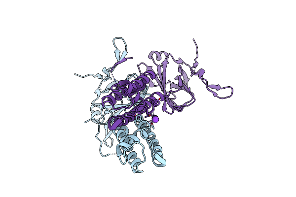 2WLI image