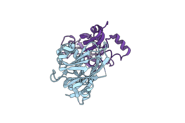 2WLP image