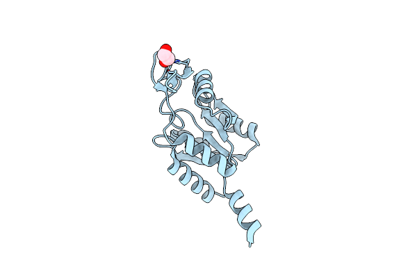 2WM8 image