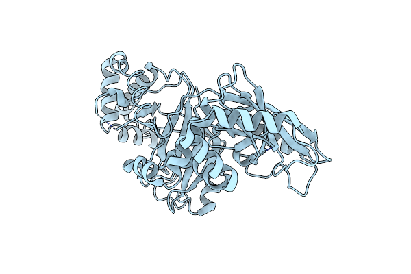 2WN8 image
