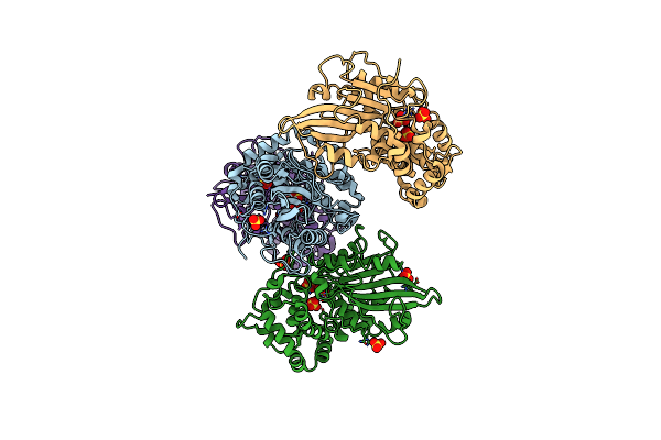 2WNI image