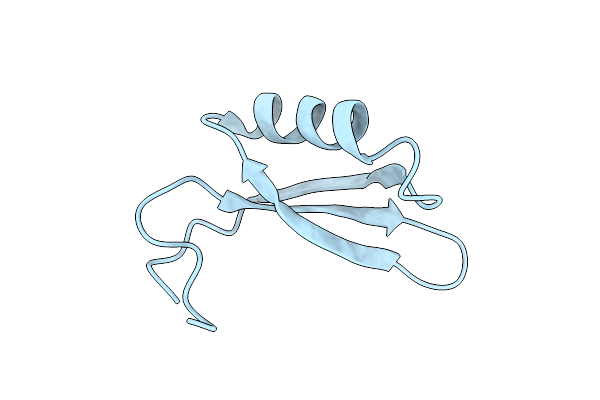 2WNM image
