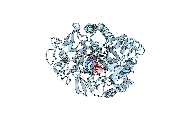 2WOP image