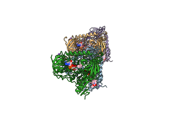2WPC image