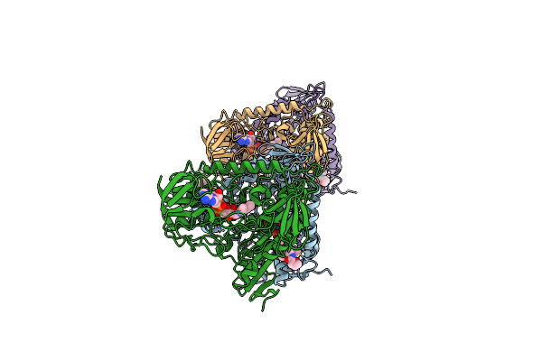 2WPE image