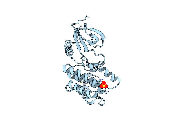 2WQM image