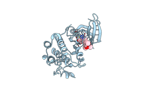 2WQO image