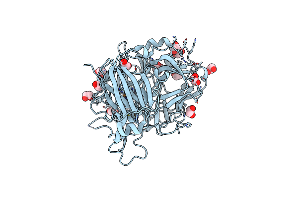 2WSD image