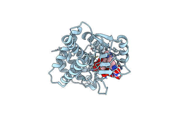 2WSI image