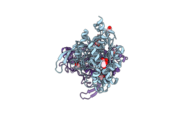 2WU9 image