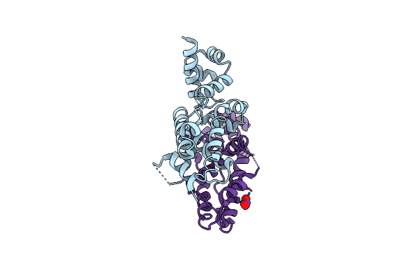 2WV1 image