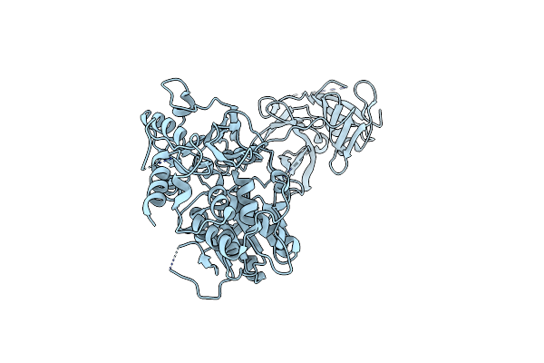 2WV9 image
