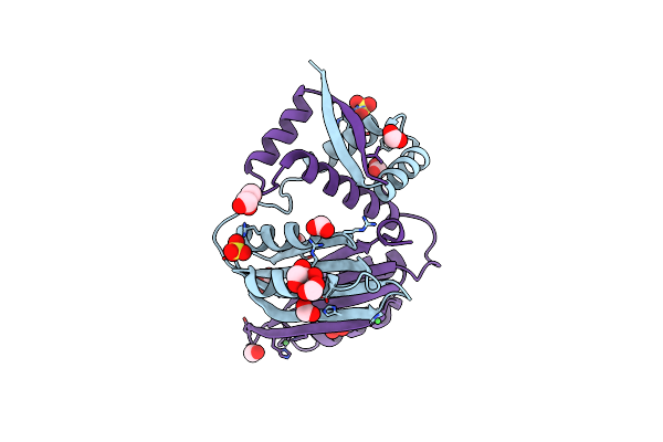 2WVF image