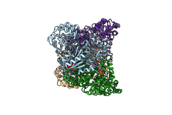 2WVG image