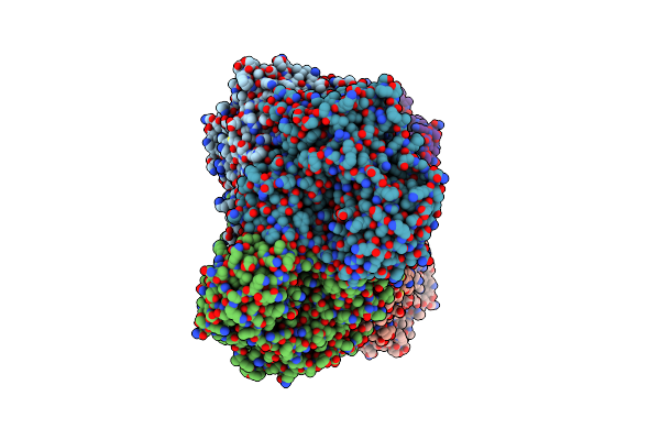 2WVH image