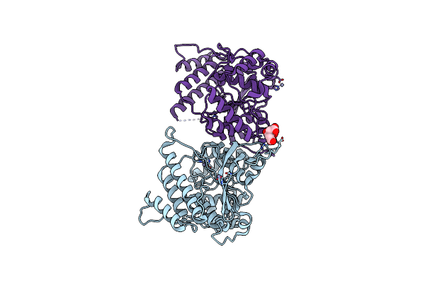 2WVK image