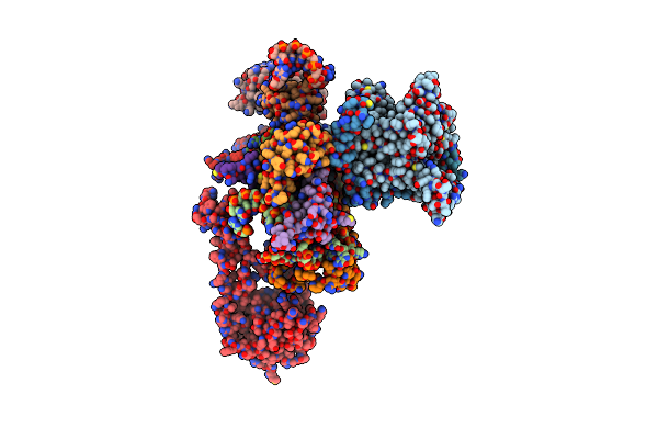 2WWB image