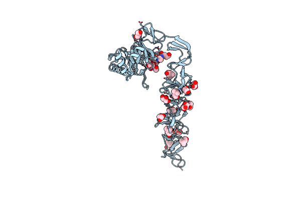 2WWD image