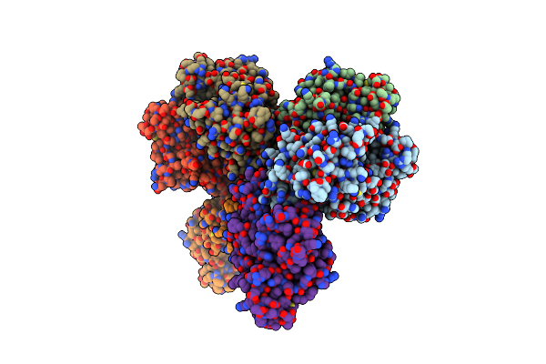 2WZJ image