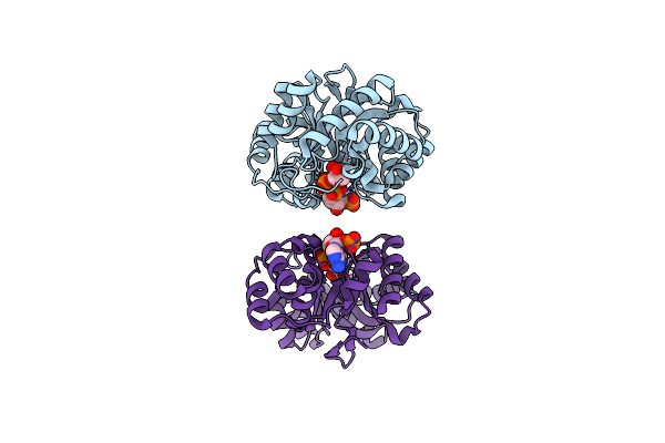 2WZM image