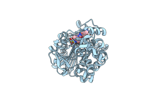 2WZX image