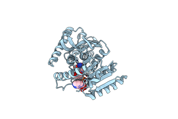 2X0J image
