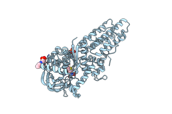2X1M image