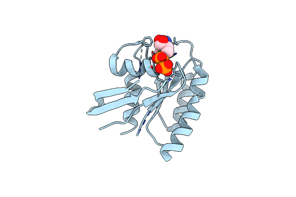 2X1V image