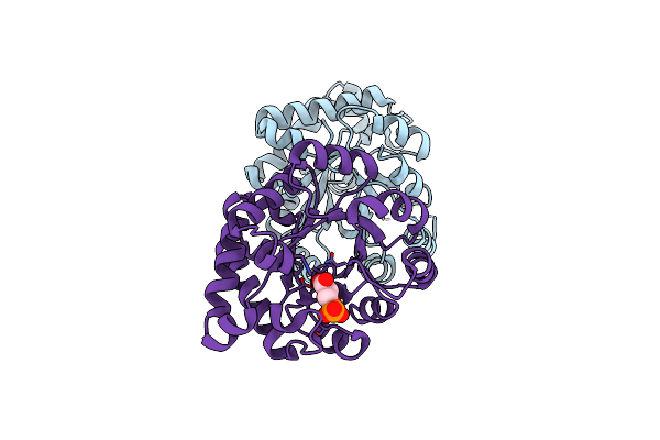 2X2G image