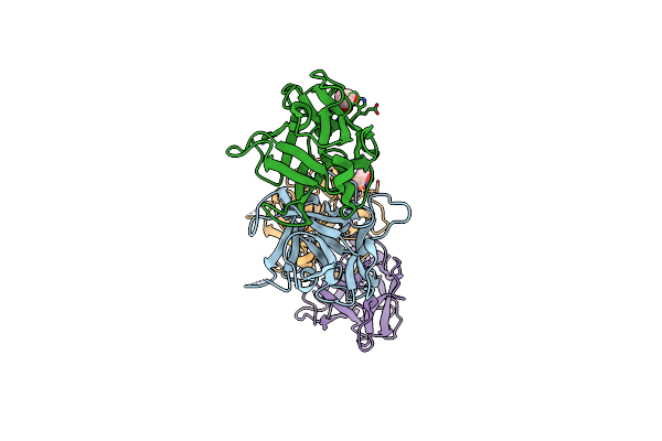 2X2S image