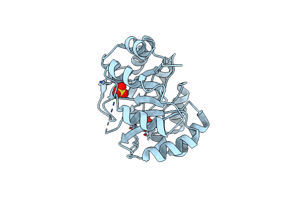2X30 image