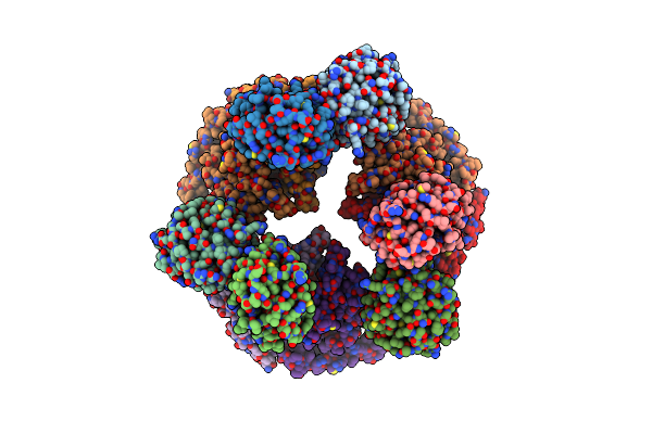 2X31 image