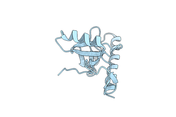 2X35 image