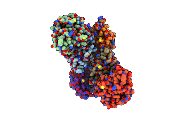 2X36 image