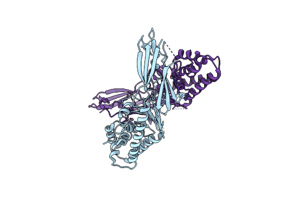 2X3B image