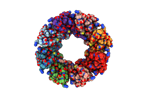 2X3D image