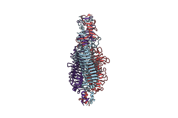 2X3H image