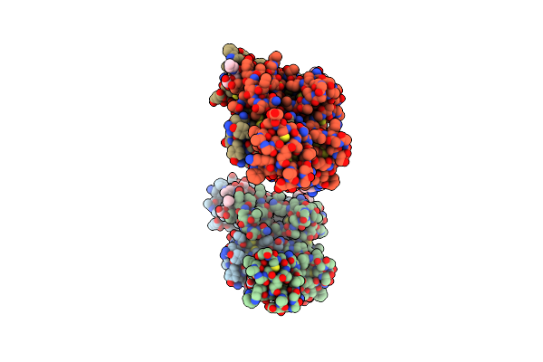 2X3T image