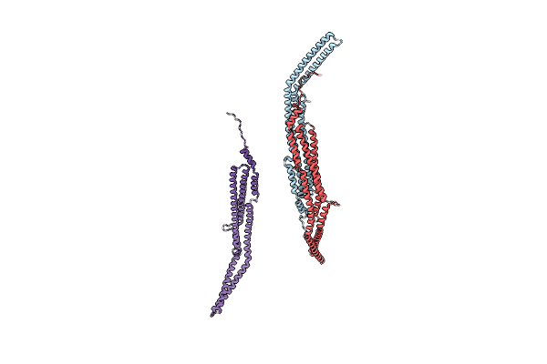 2X3V image