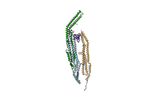 2X3W image